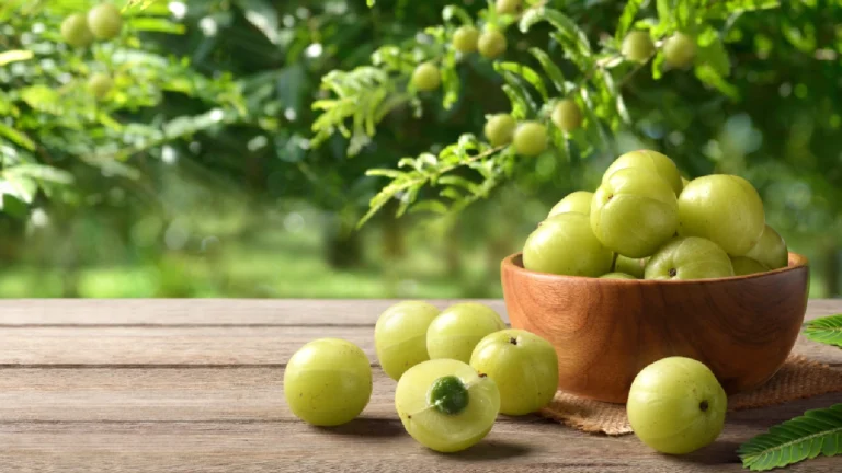 Amla Juice