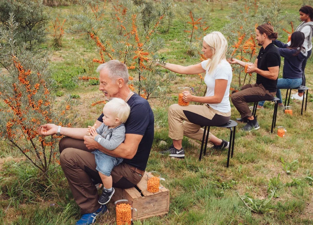 Sea Buckthorn blog image