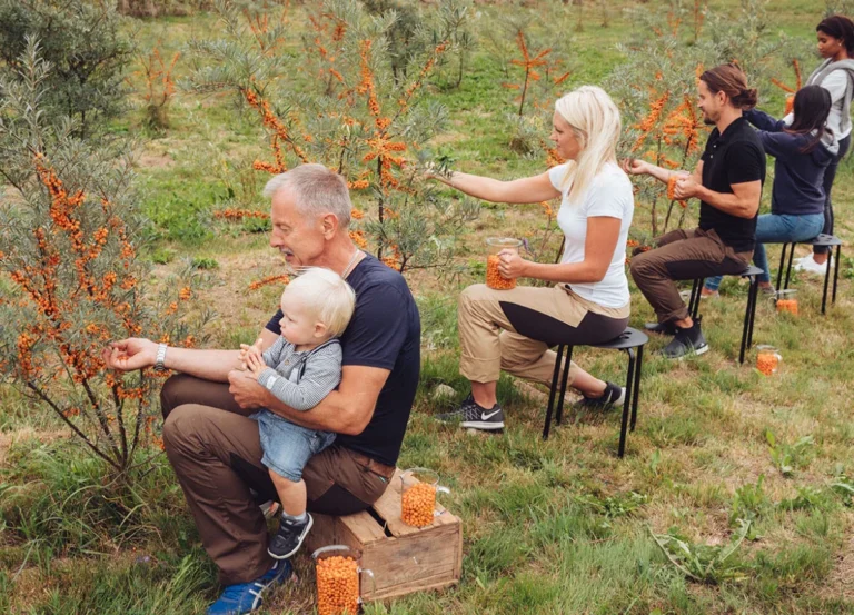 Sea Buckthorn blog image