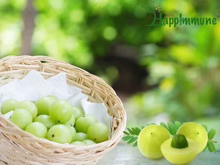 5 Amla Benefits