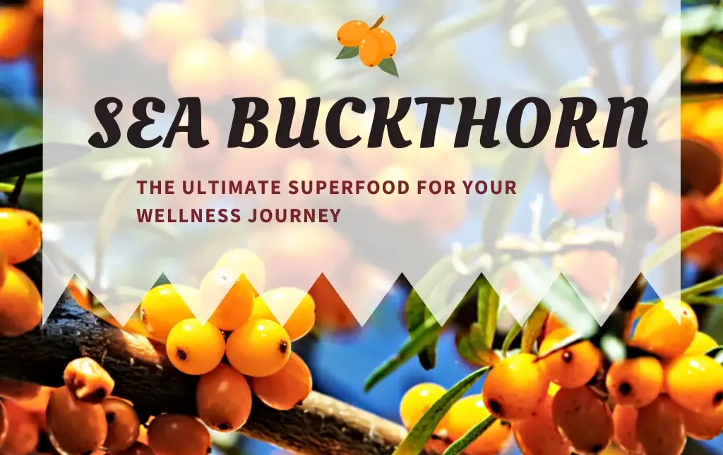 Sea Buckthorn ultimate food