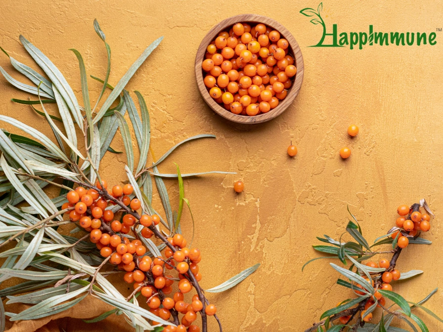 5 incredible health benefits of sea buckthorn