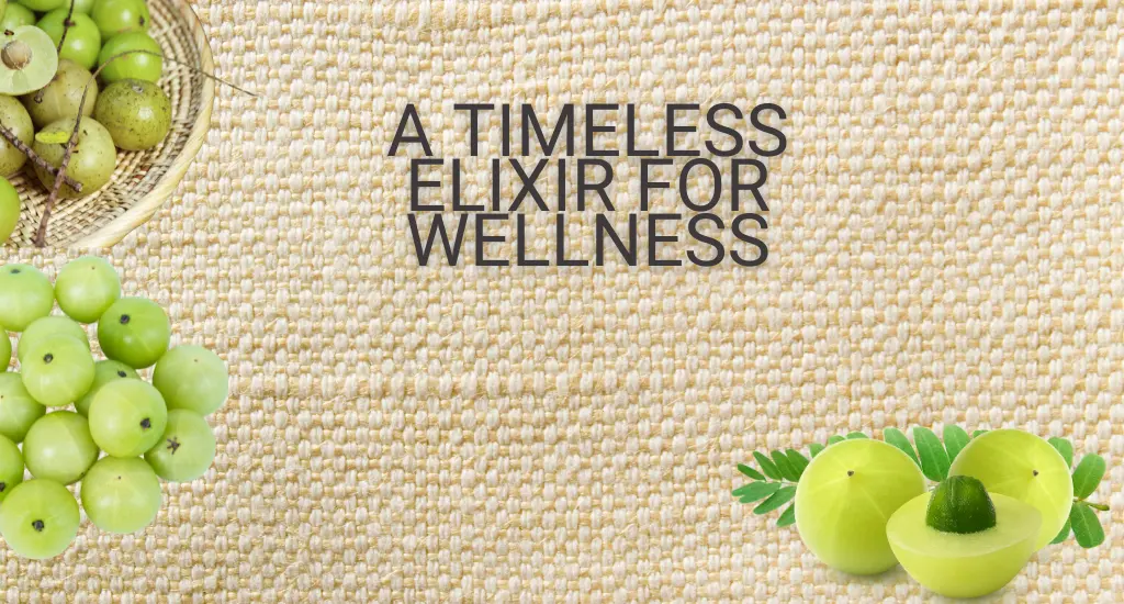 Amla Timeless Elixir