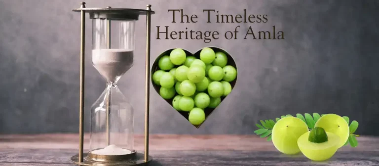 Timeless heritage of Amla