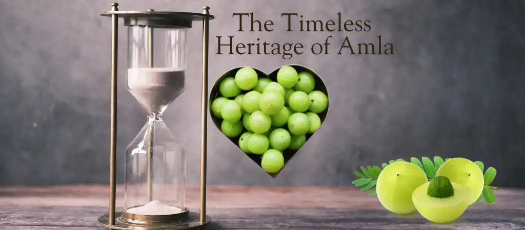 Timeless heritage of Amla