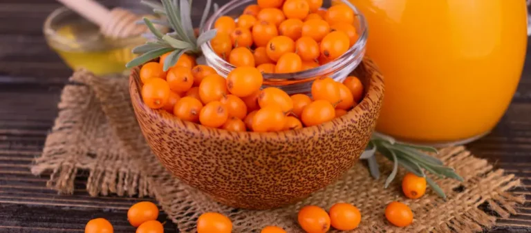 sea buckthorn beginners guide